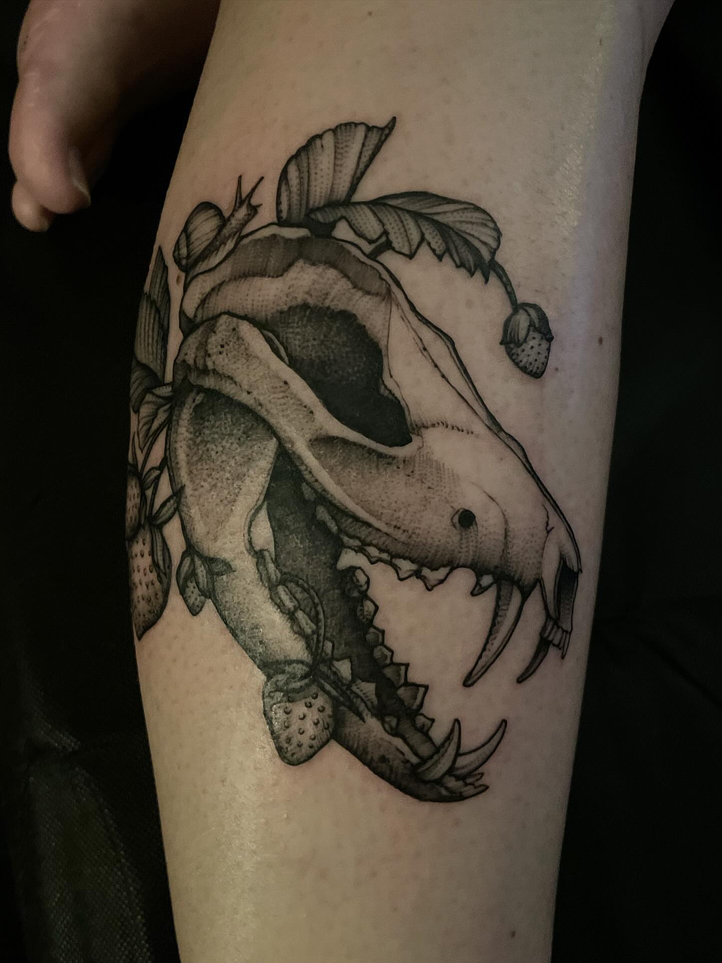 Crab black and grey tattoo on the forearm by Jacob Kearney