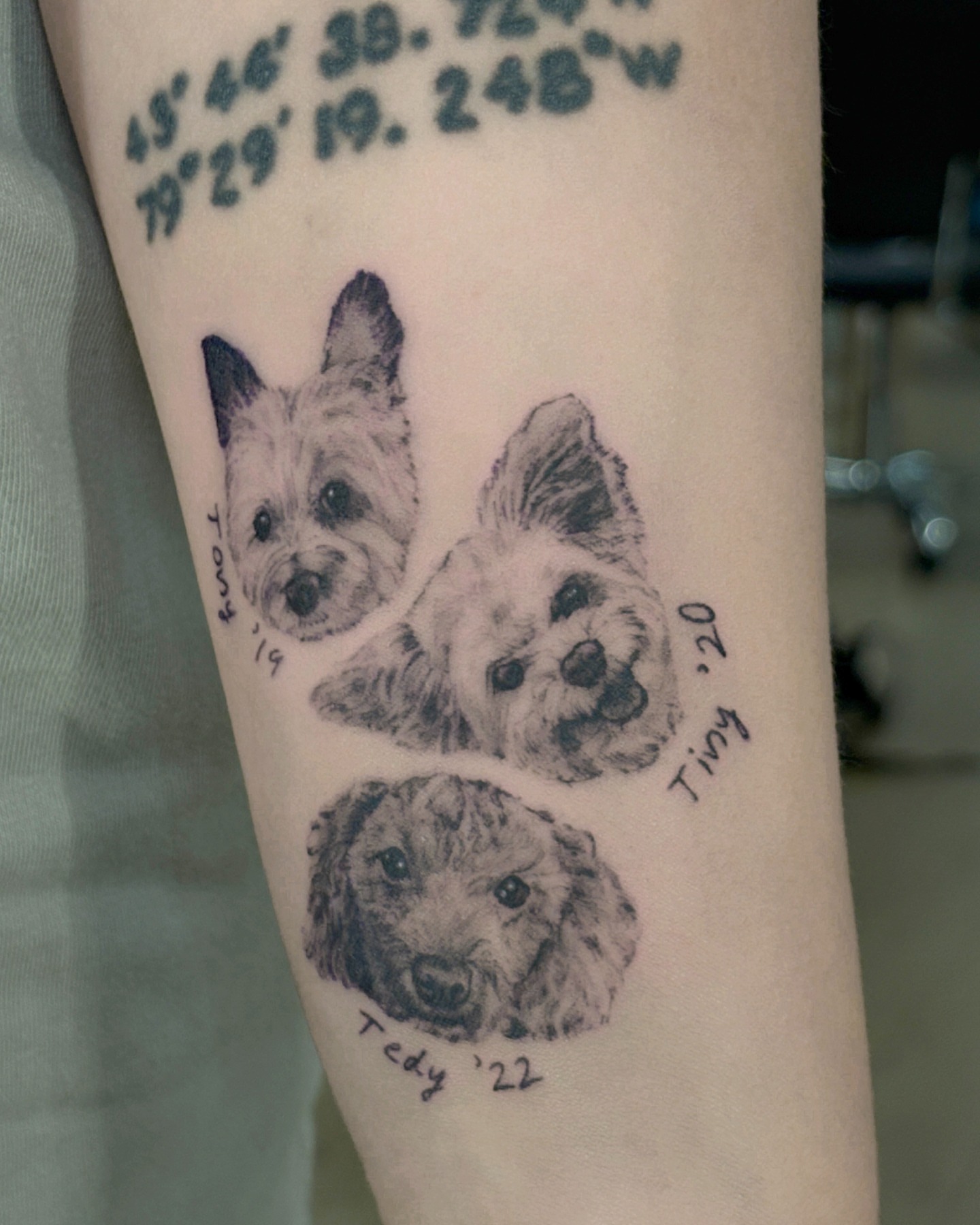 Tattoo by @dasom_real — realism