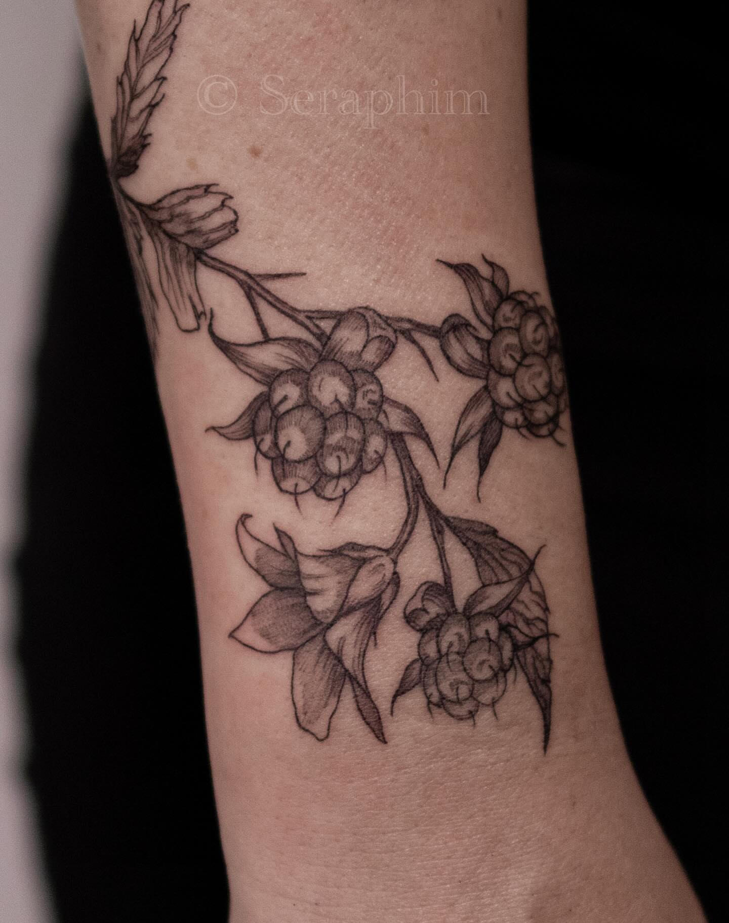 Tattoo by @seraphim.fineline — black_and_grey