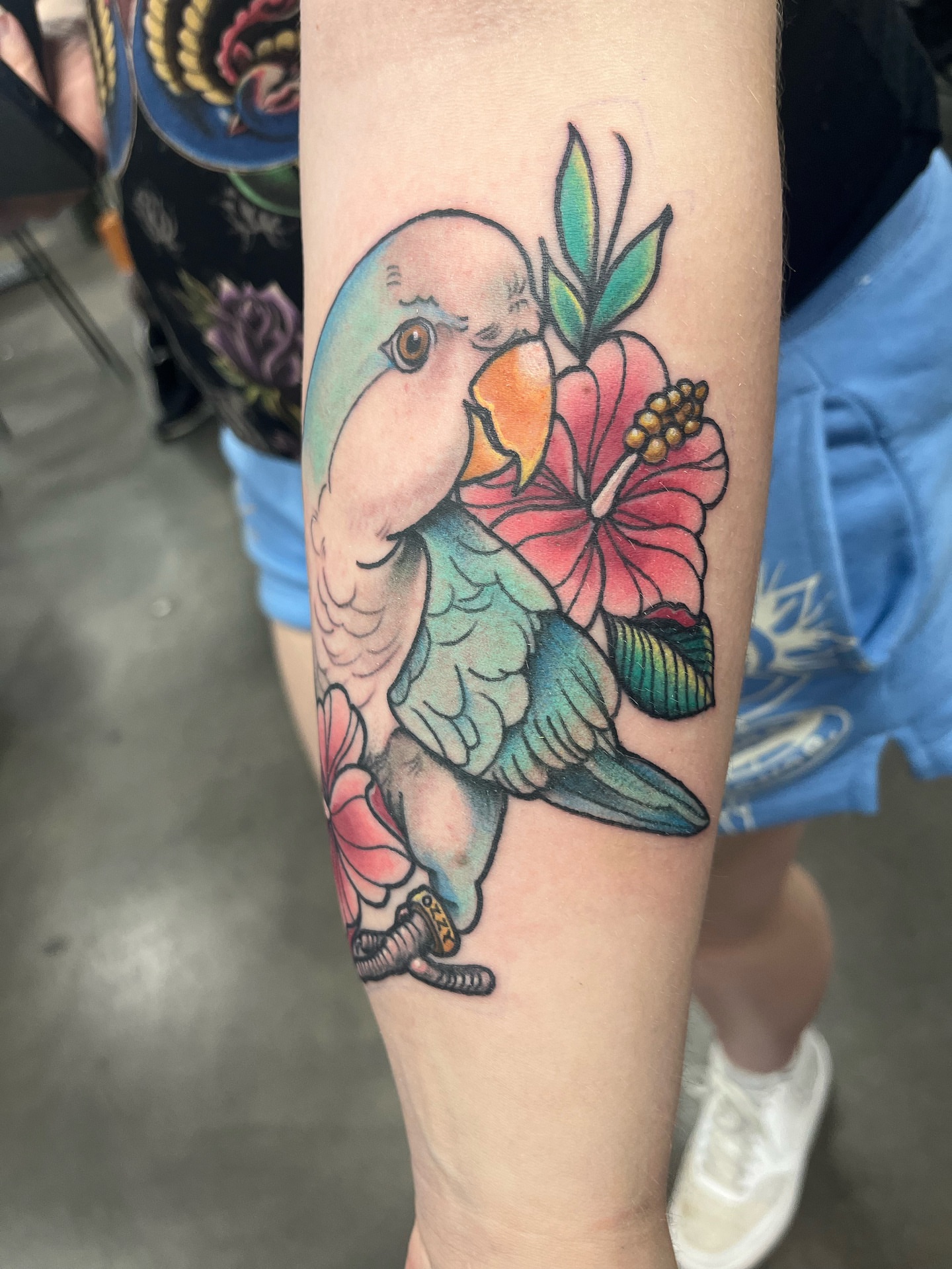 Parrot and hibiscus American traditional tattoo on the forearm by Ashley Camp