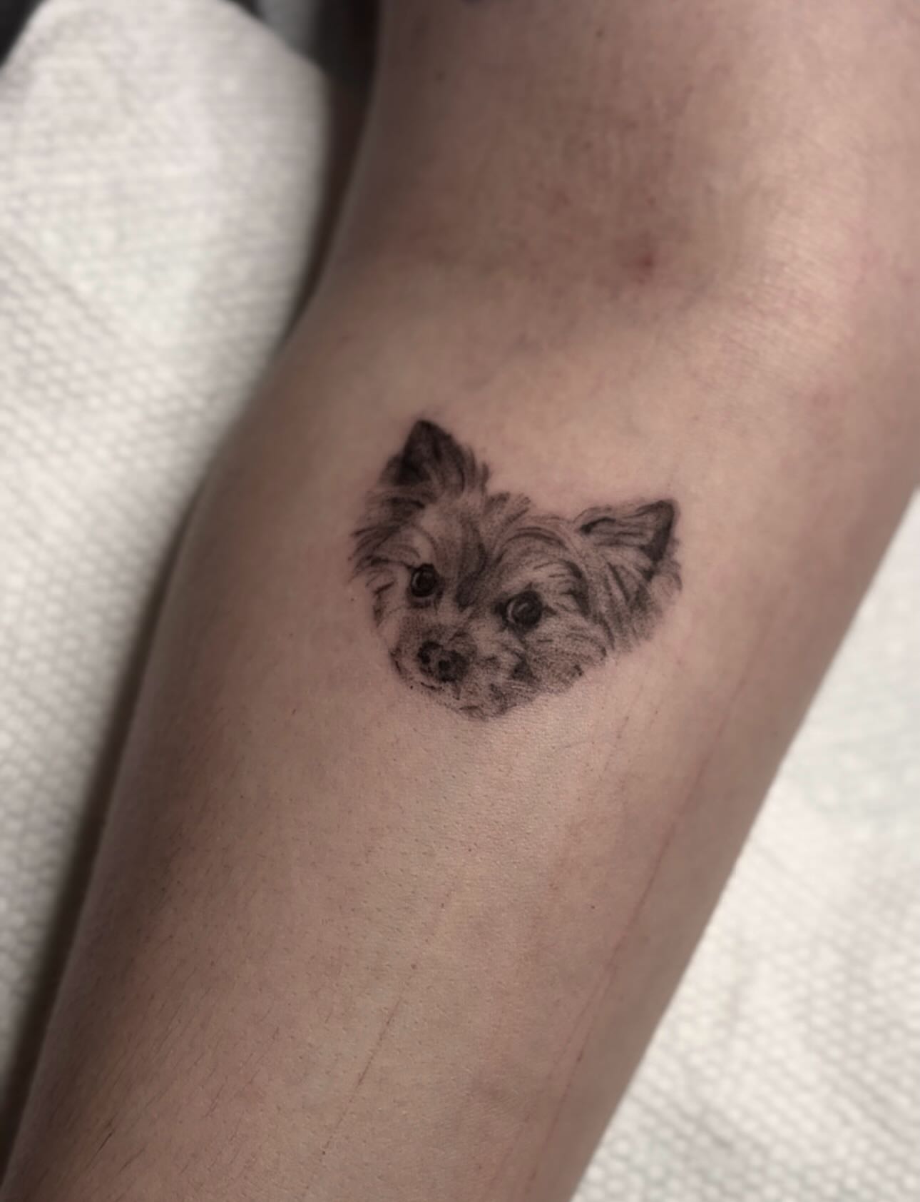 Tattoo by @themerriestofsummers — realism