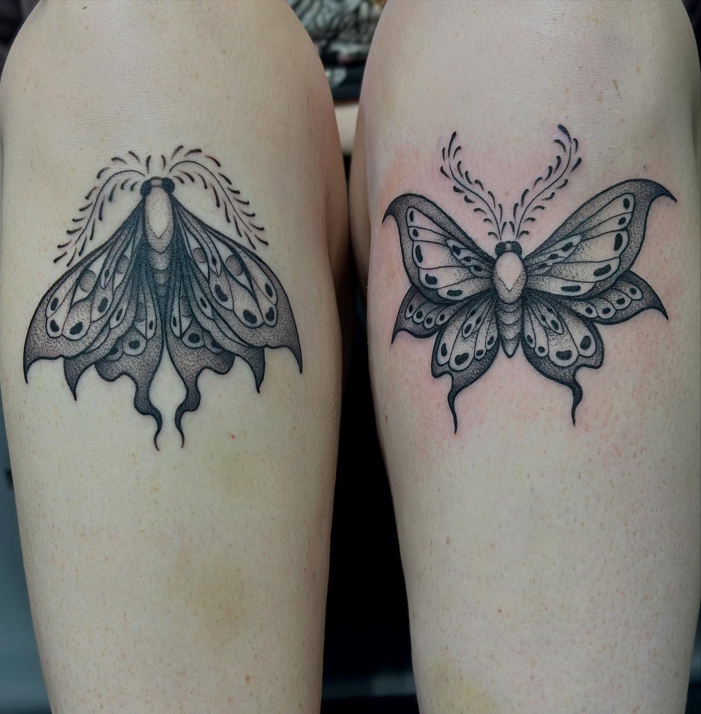 Tattoo by @bodyartbyali — dotwork, black_and_grey