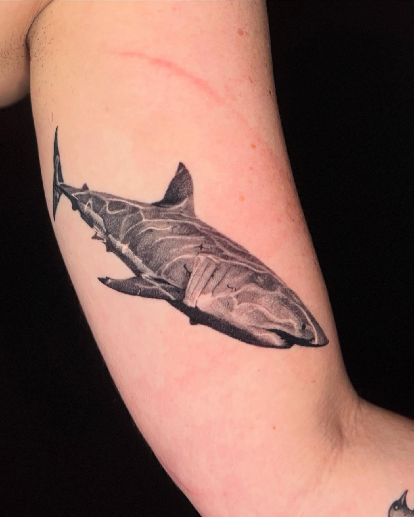 Tattoo by @amberstarrartistry — realism
