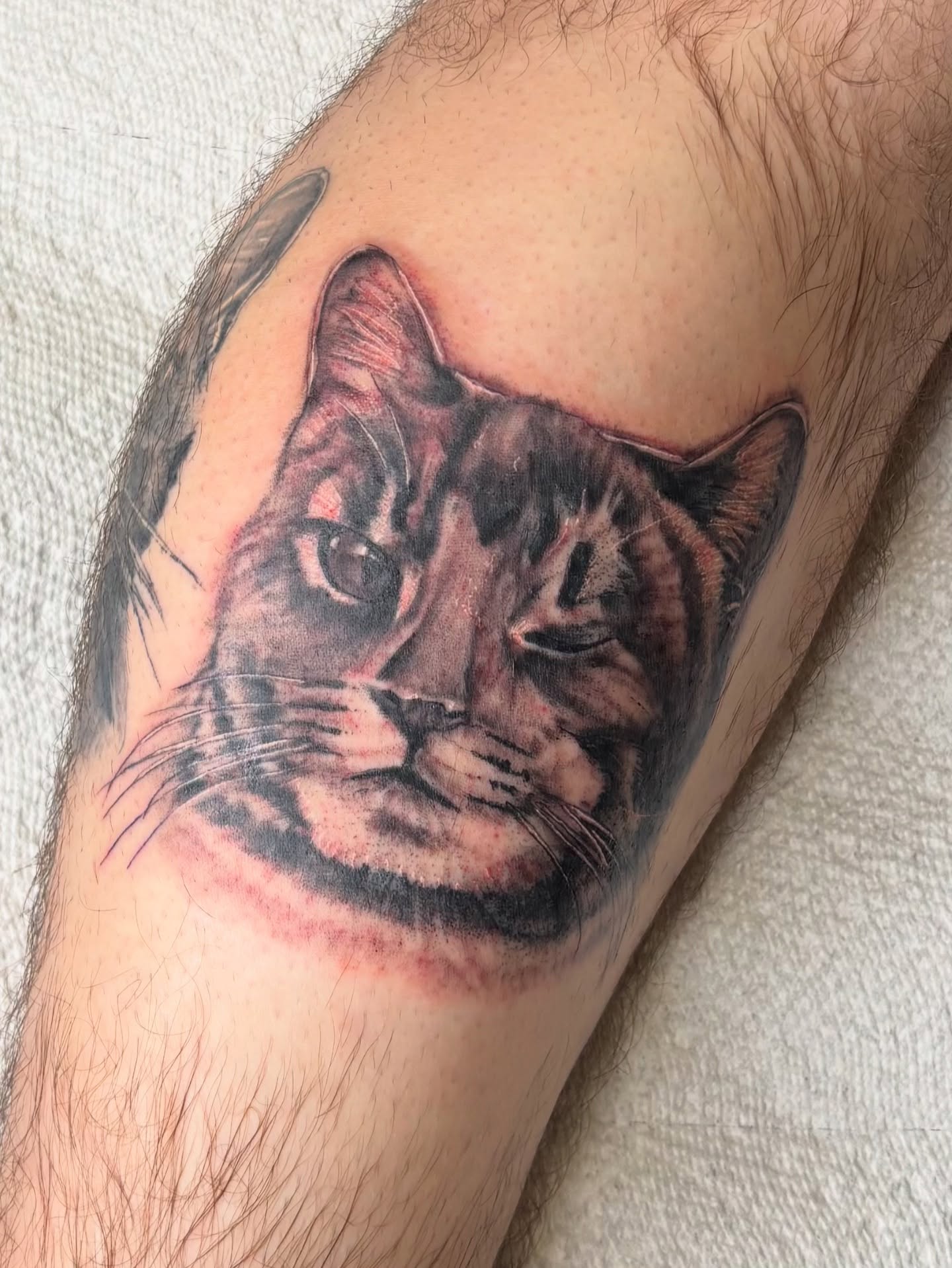 Tattoo by @bridgetsmithtattoos — realism