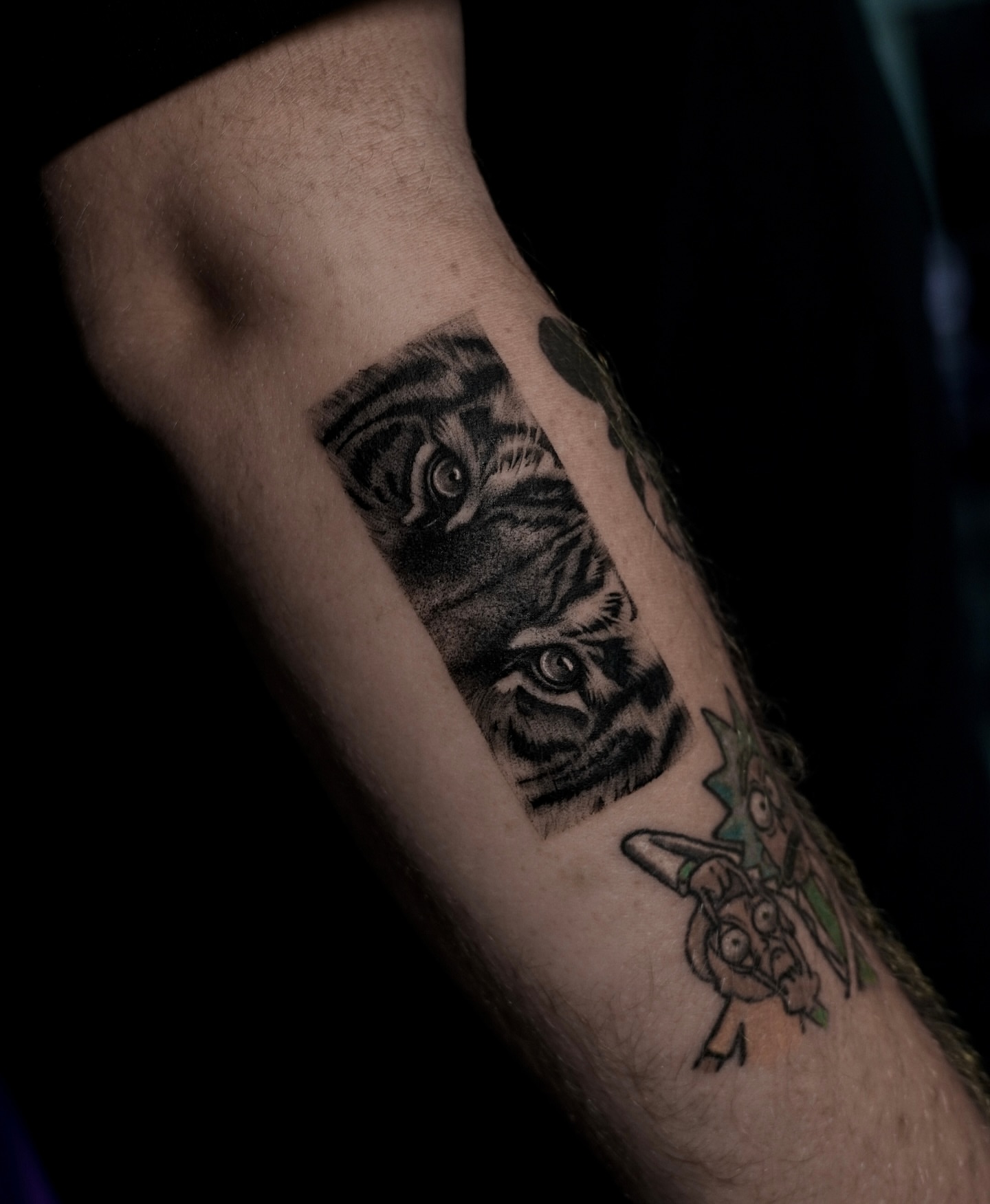 Tiger realism tattoo on the forearm by Sophia Delfino