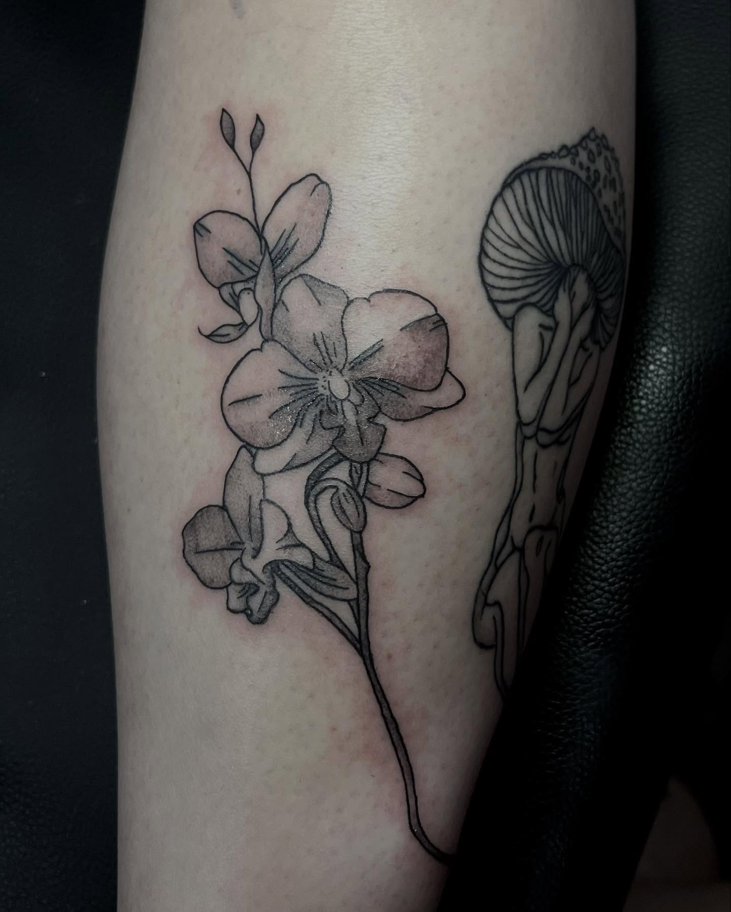 Orchid and mushroom black and grey tattoo on the forearm by Angel Arceo