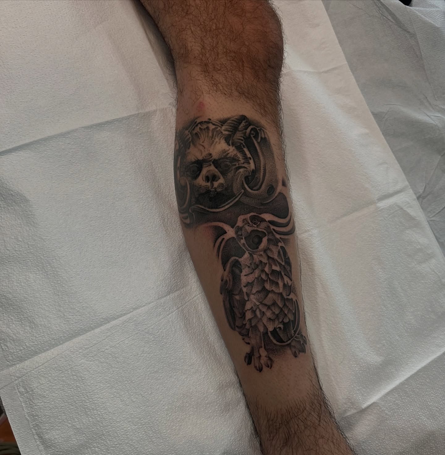 Owl and skull realism tattoo on the forearm by Joe Cruz