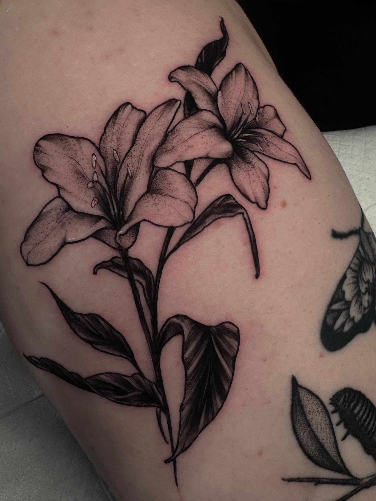 Lilies black and grey tattoo on the thigh by ๐ฎ๐๐๐ฐ ๐๐ซ๐ค๐ข๐ฉ๐ฌ ๐๐๐ฆ๐๐ซ๐ฬ