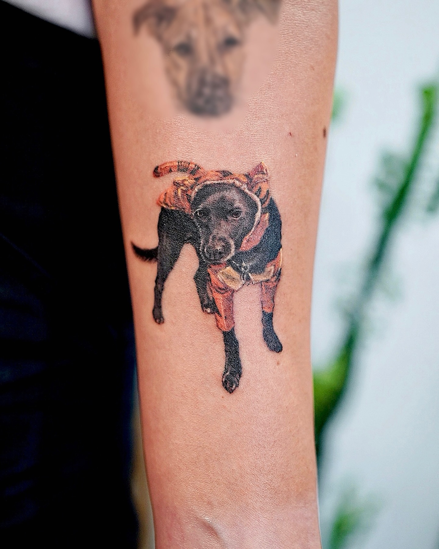 Dog wearing jacket realism tattoo on the forearm by Lily, Los Angeles, California