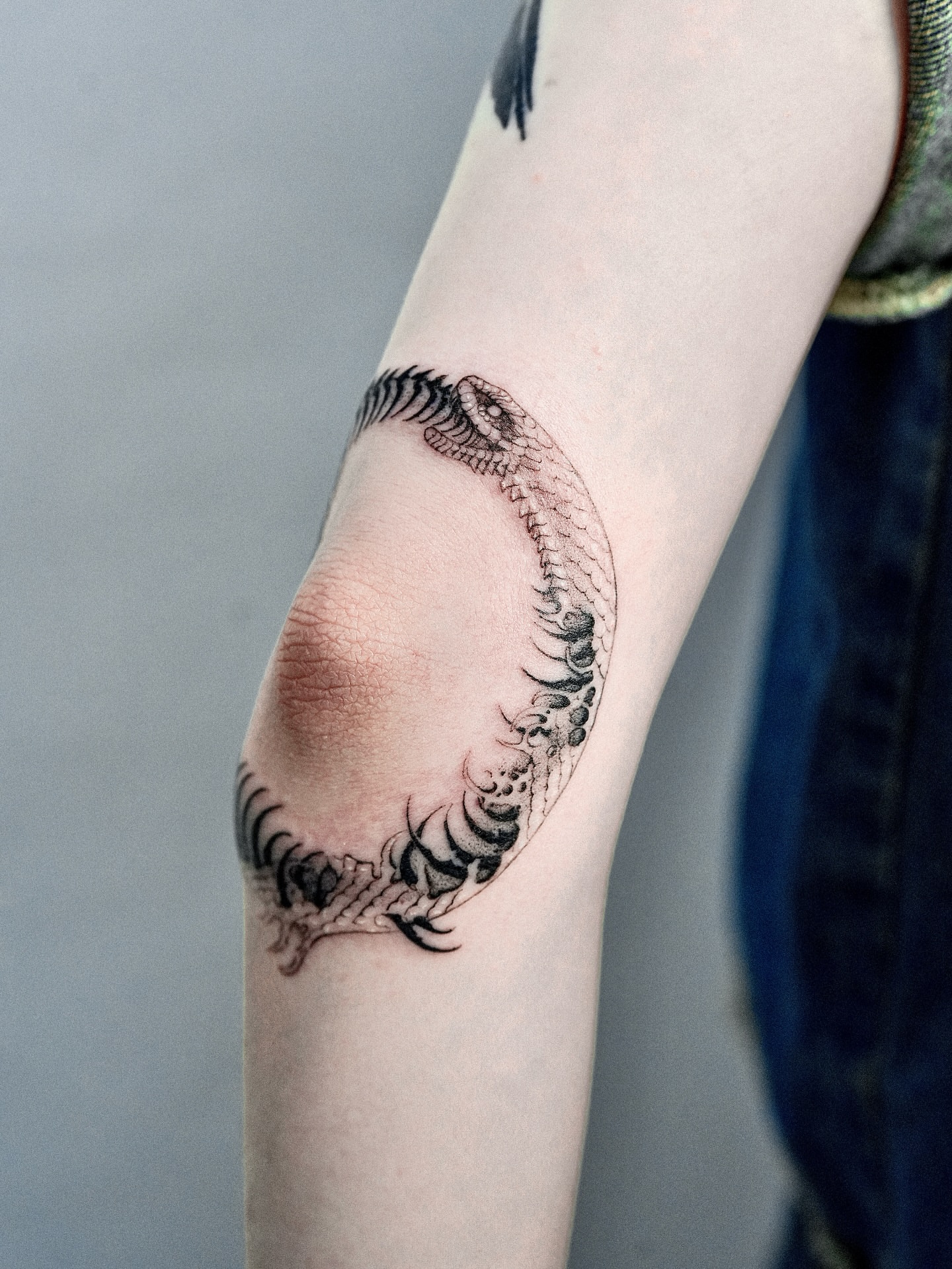 Snake black and grey tattoo on the forearm by ๐
๐๐๐