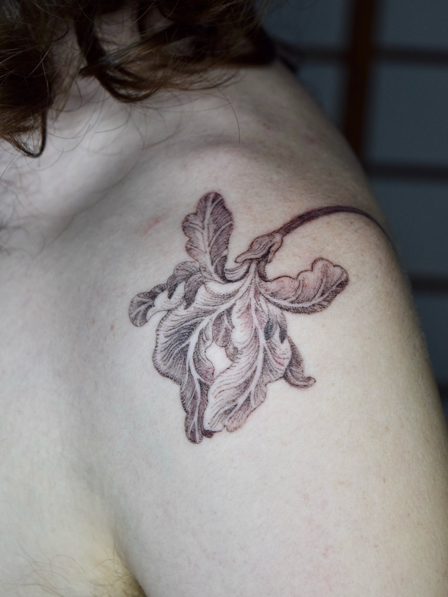 Leaf black and grey tattoo on the shoulder by Stella Oh
