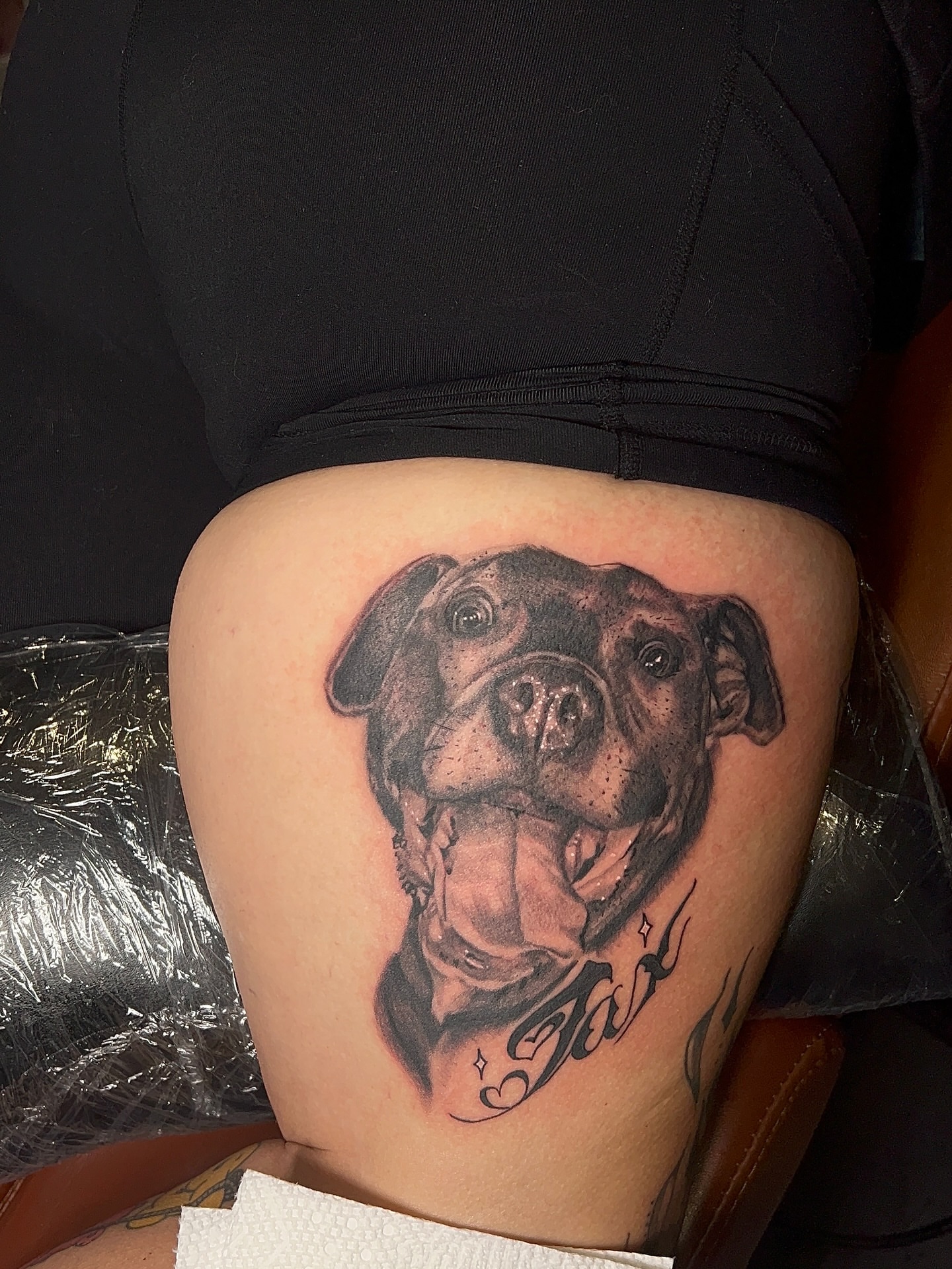 Dog realism tattoo on the thigh by Denis Seregin