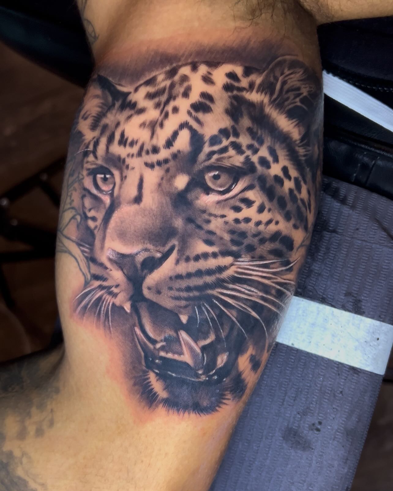 Leopard realism tattoo on the forearm by Matthew Arguello
