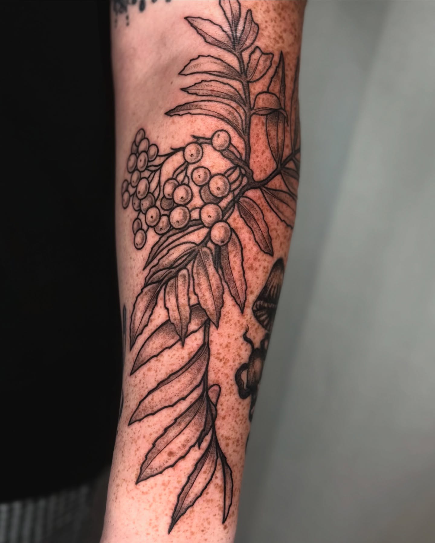 Berry branch black and grey tattoo on the forearm by Cooper