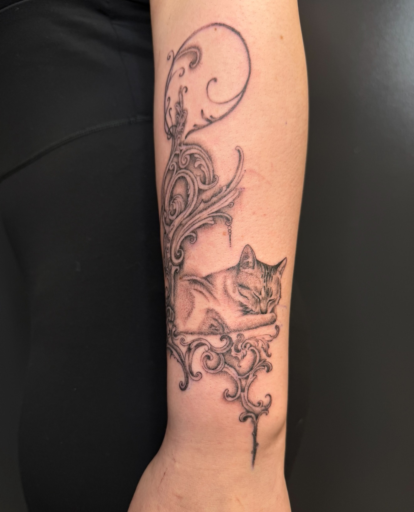 Cat black and grey tattoo on the forearm by dinah