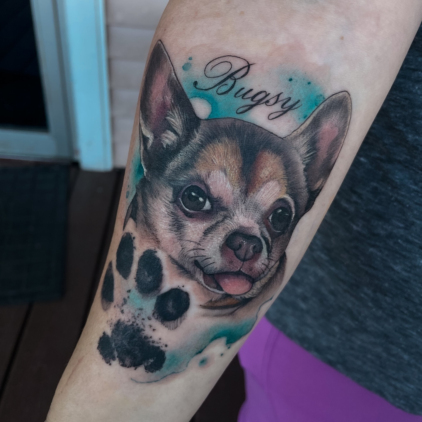 Chihuahua realism tattoo on the forearm by Erica Olivier