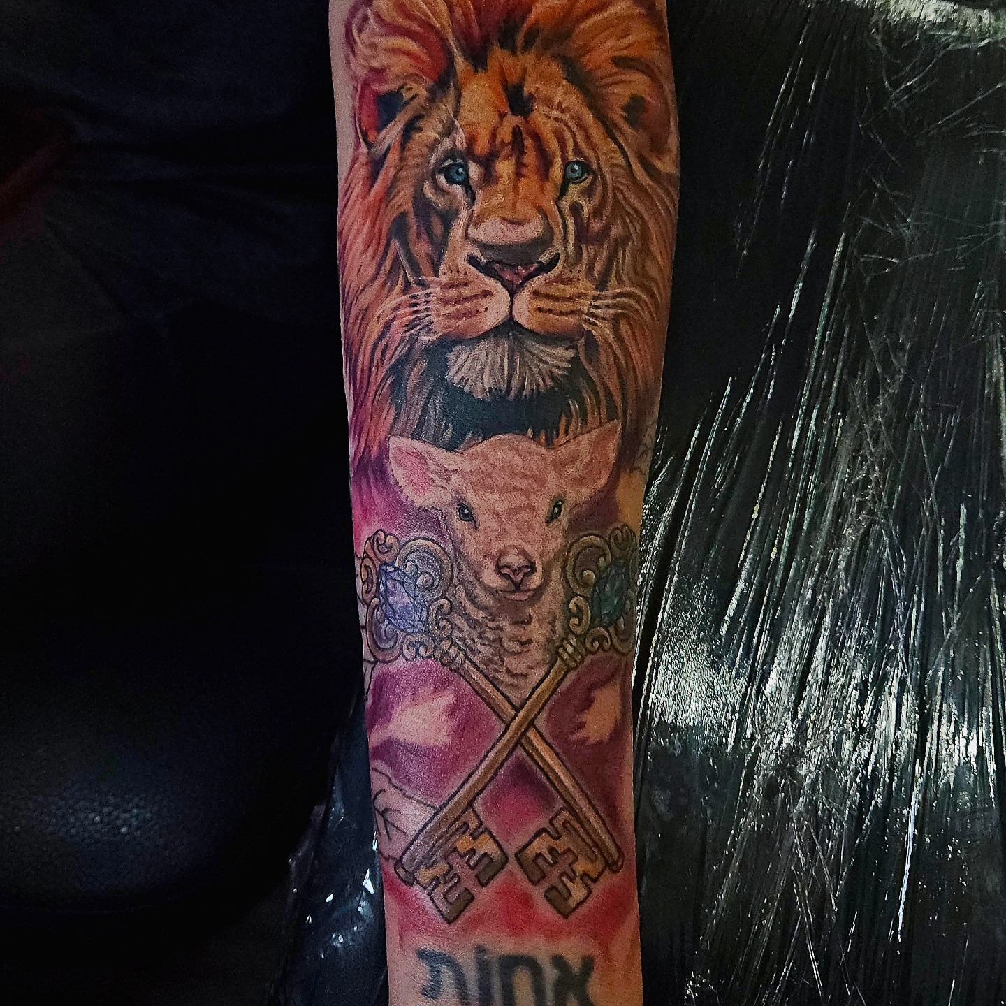 Lion and lamb realism tattoo on the forearm by Angie Griffith 🥰, Glendale, Arizona