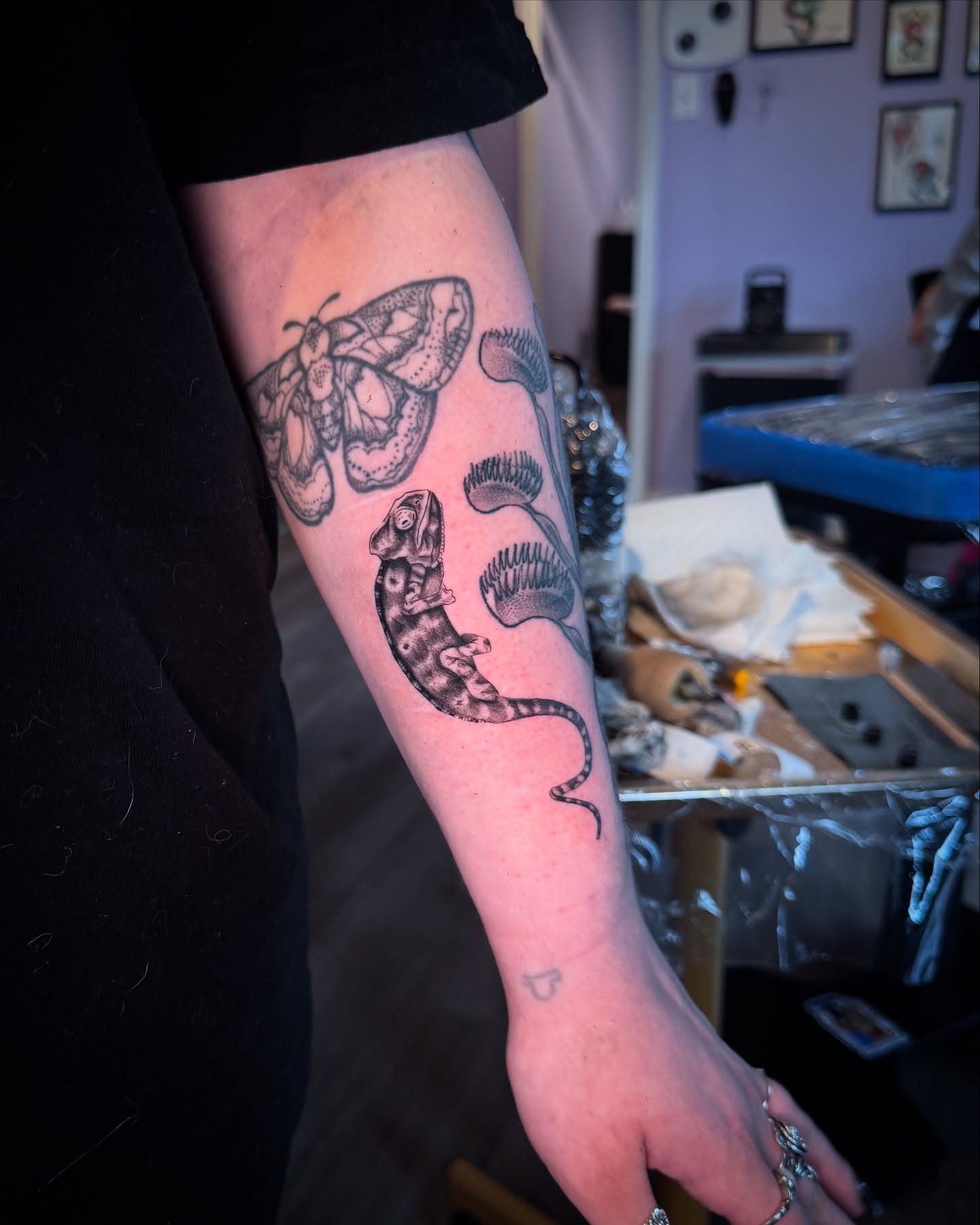 Reptile and moth black and grey tattoo on the forearm by Honey