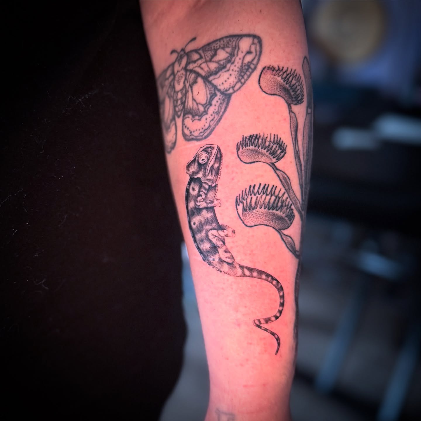 Chameleon and flowers dotwork tattoo on the forearm by Honey