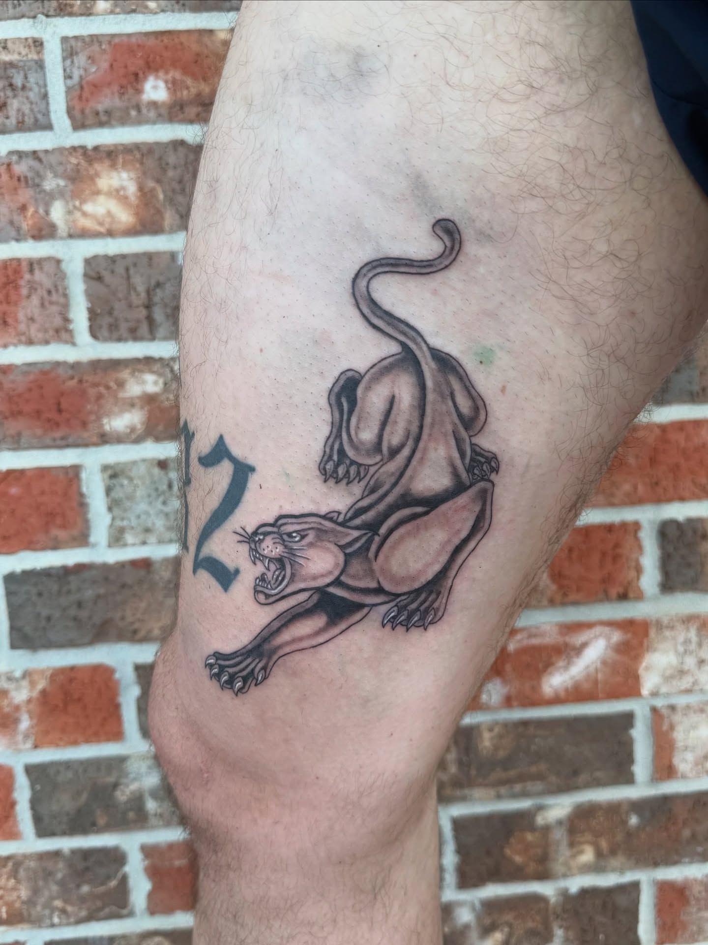 Panther black and grey tattoo on the thigh by Diana