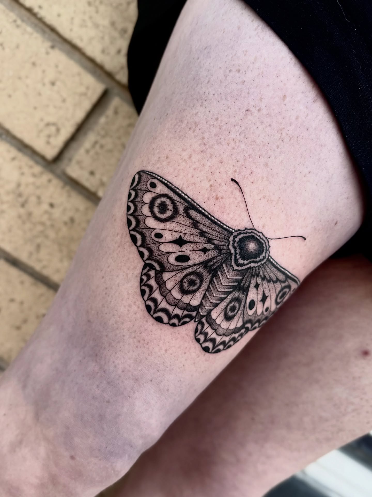 Butterfly black and grey tattoo on the forearm by ♡ Erika Soya ♡