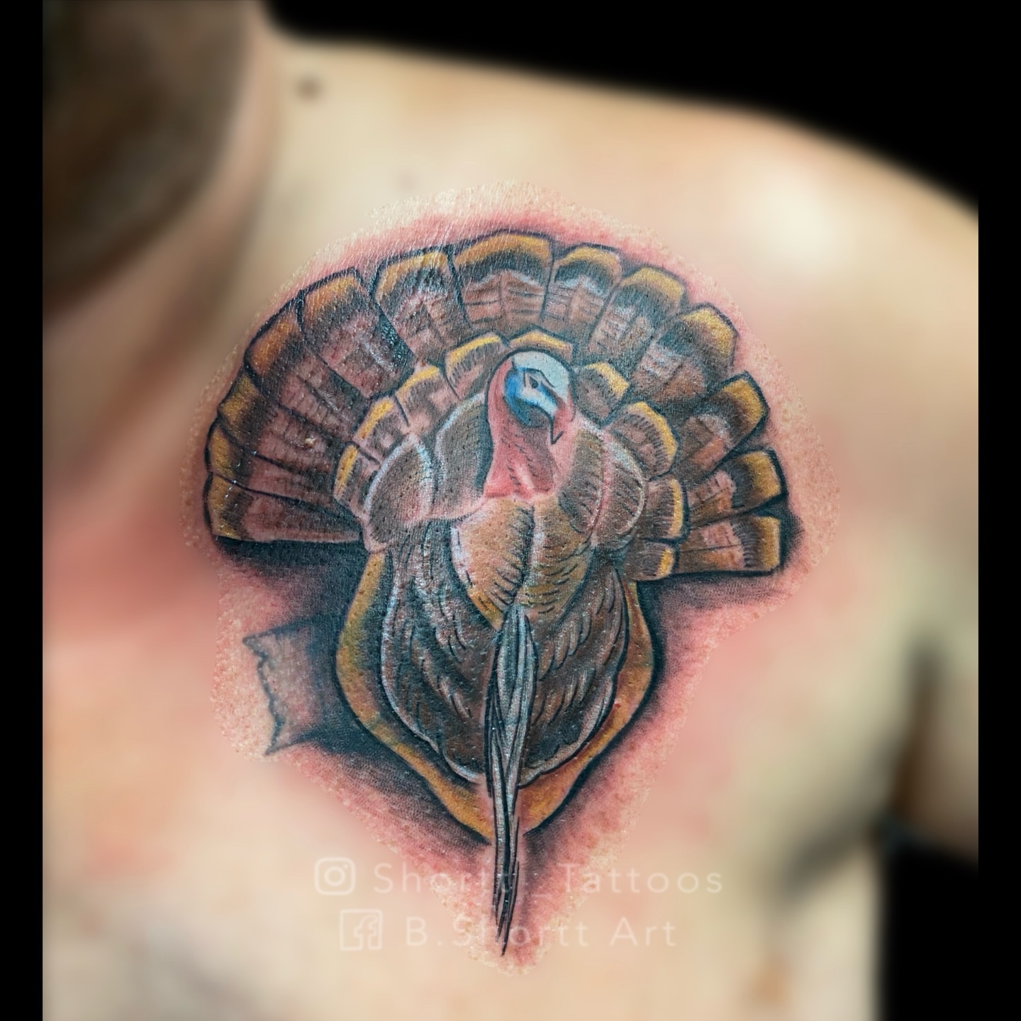 Turkey realism tattoo on the chest by Brie Marie