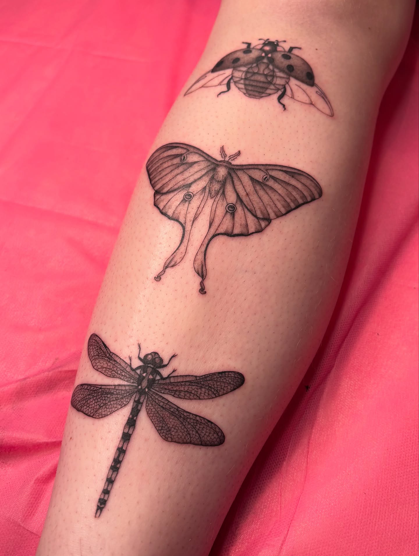 Tattoo by @silviieee — black_and_grey
