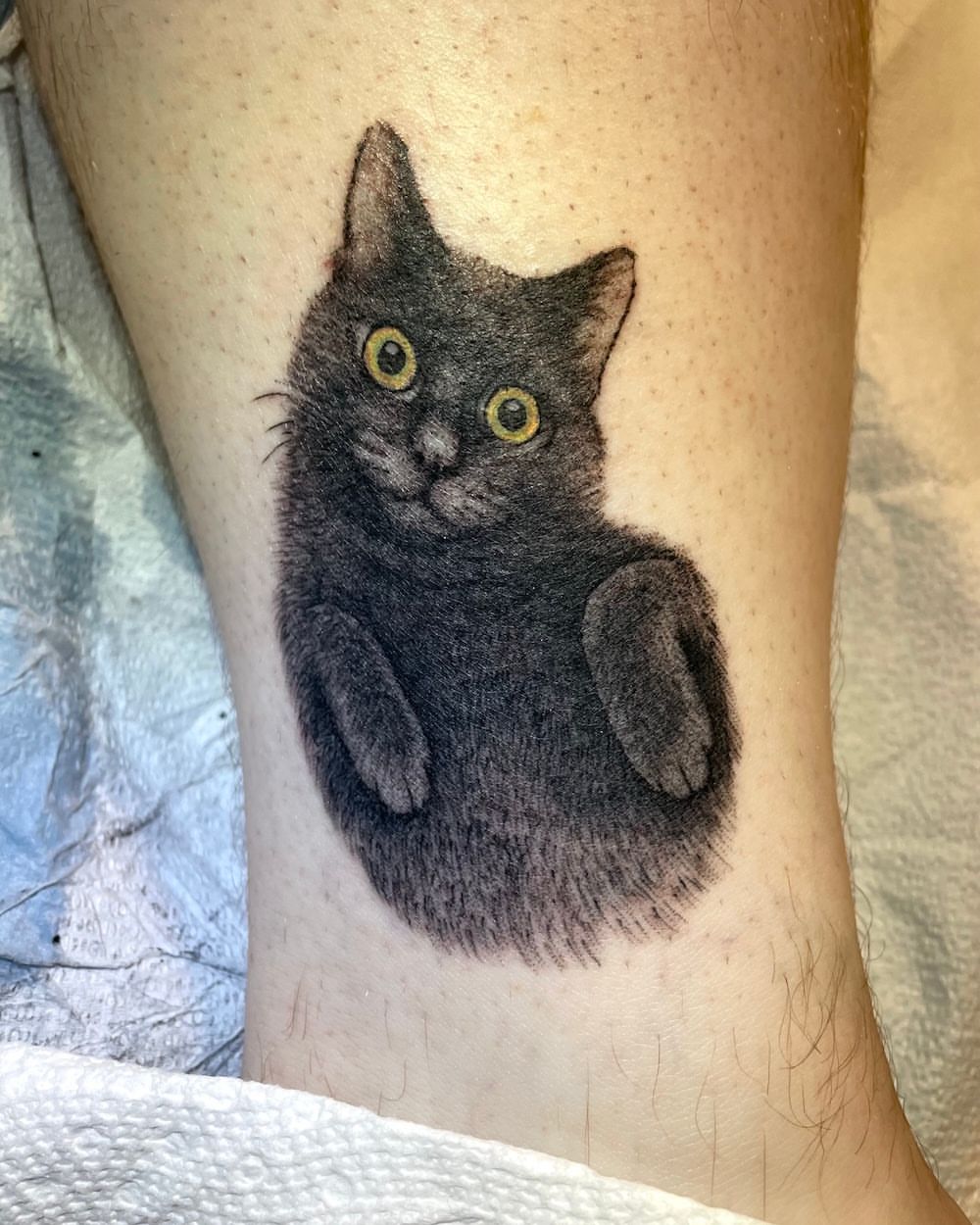 Cat realism tattoo on the forearm by Lake Stephens, Richmond, Virginia