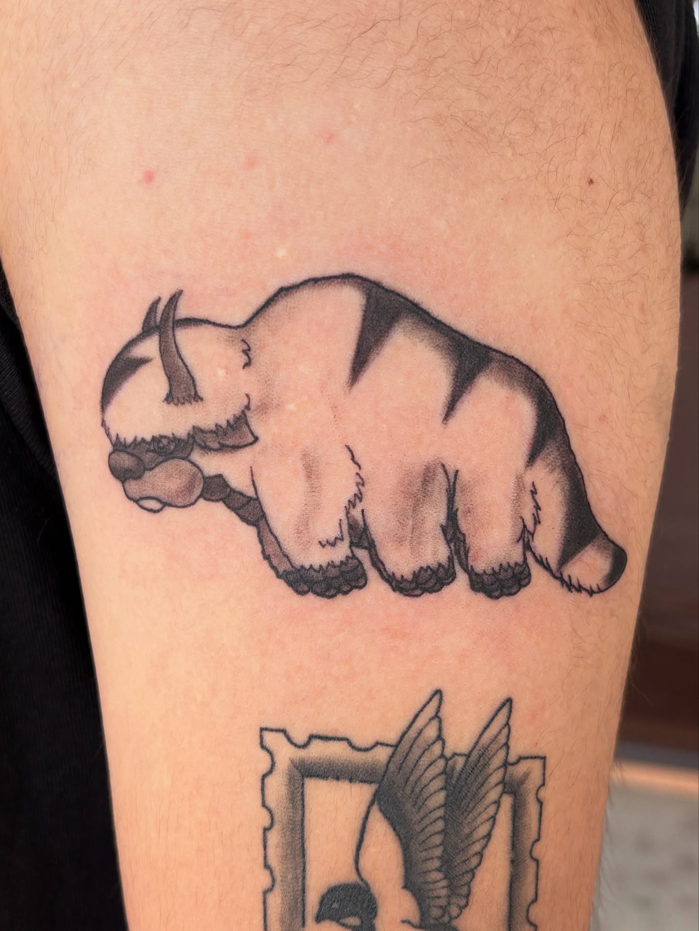 Bear black and grey tattoo on the forearm by Tori Anderson, Minneapolis, Minnesota