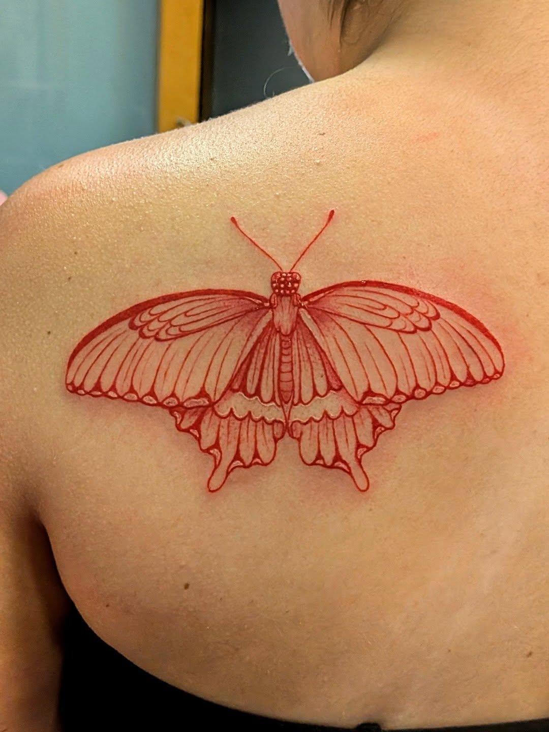Butterfly fine line tattoo on the shoulder by Shannon