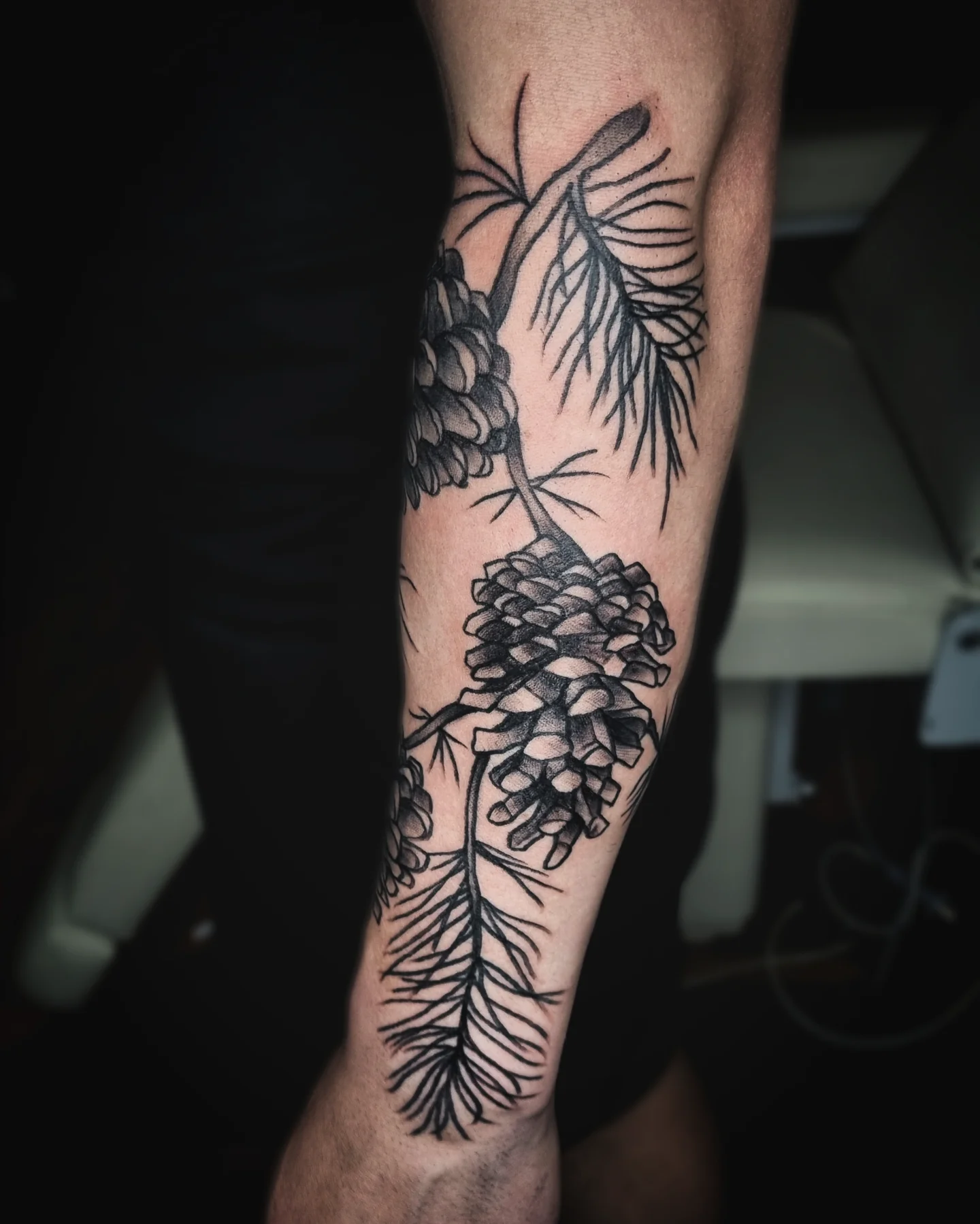 Pine cones black and grey tattoo on the forearm by AntiheroTattoo