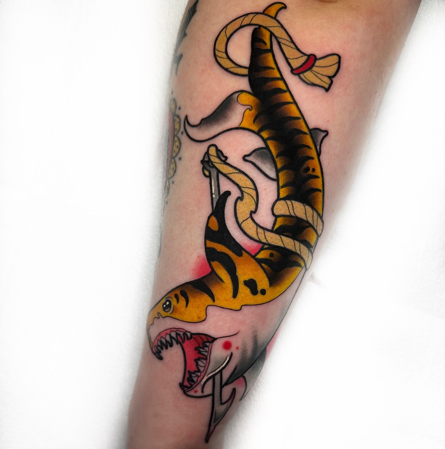 Shark American traditional tattoo on the forearm by 𝐊𝐚𝐫𝐚 𝐍𝐨𝐞𝐥, Dallas, Texas