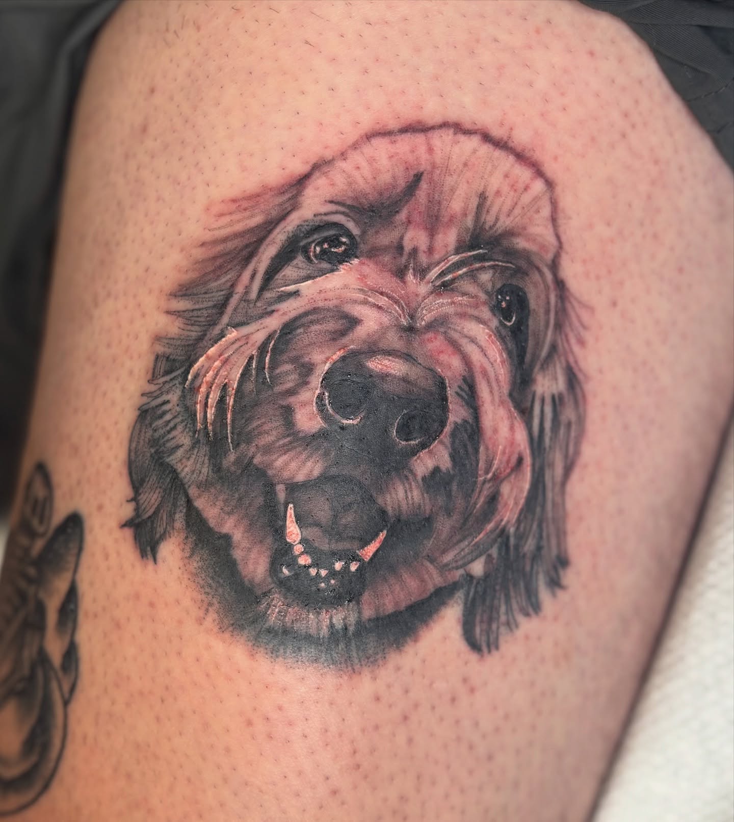 Dog realism tattoo on the thigh by Bridget Smith