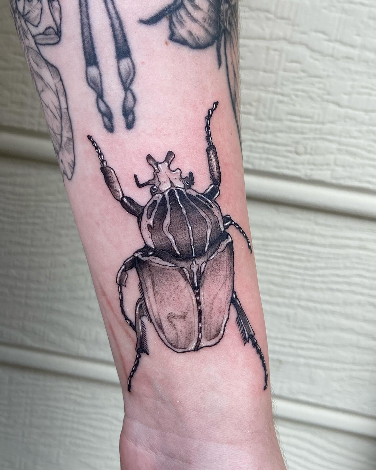 Beetle realism tattoo on the forearm by Libbey June @ Snailberry Studios- NW OHIO