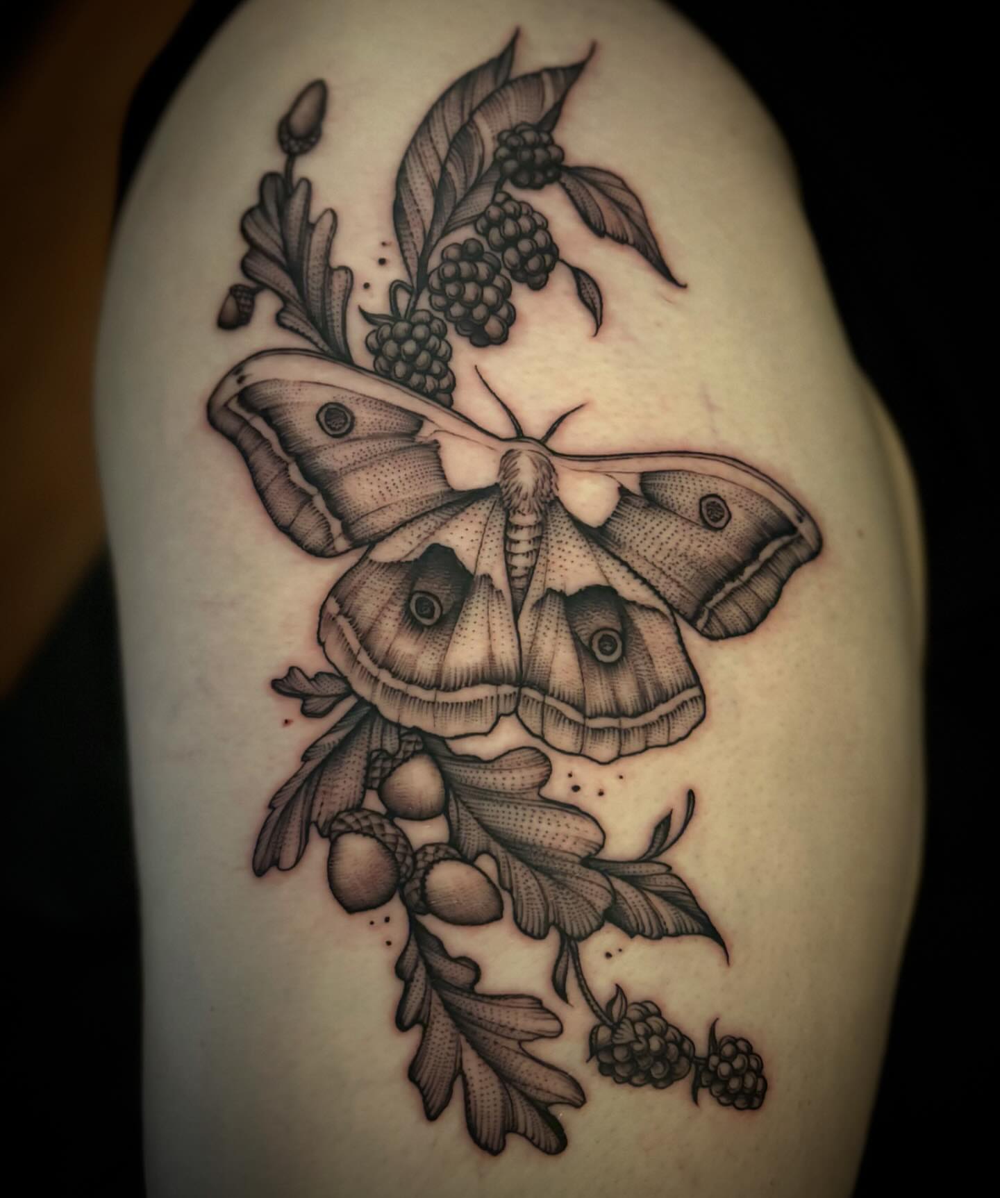 Moth and berries realism tattoo on the shoulder by Jacob Kearney