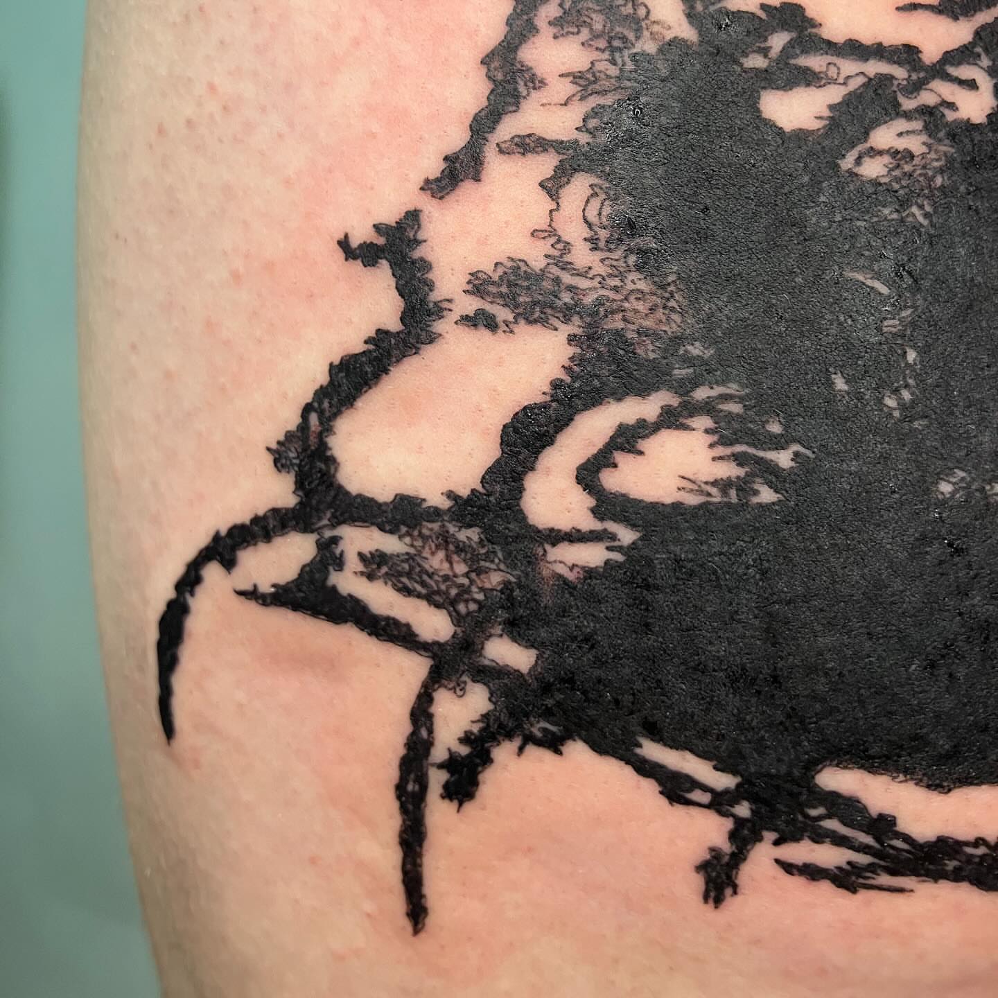 Tree black and grey tattoo on the upper arm by @godsfirmgrip