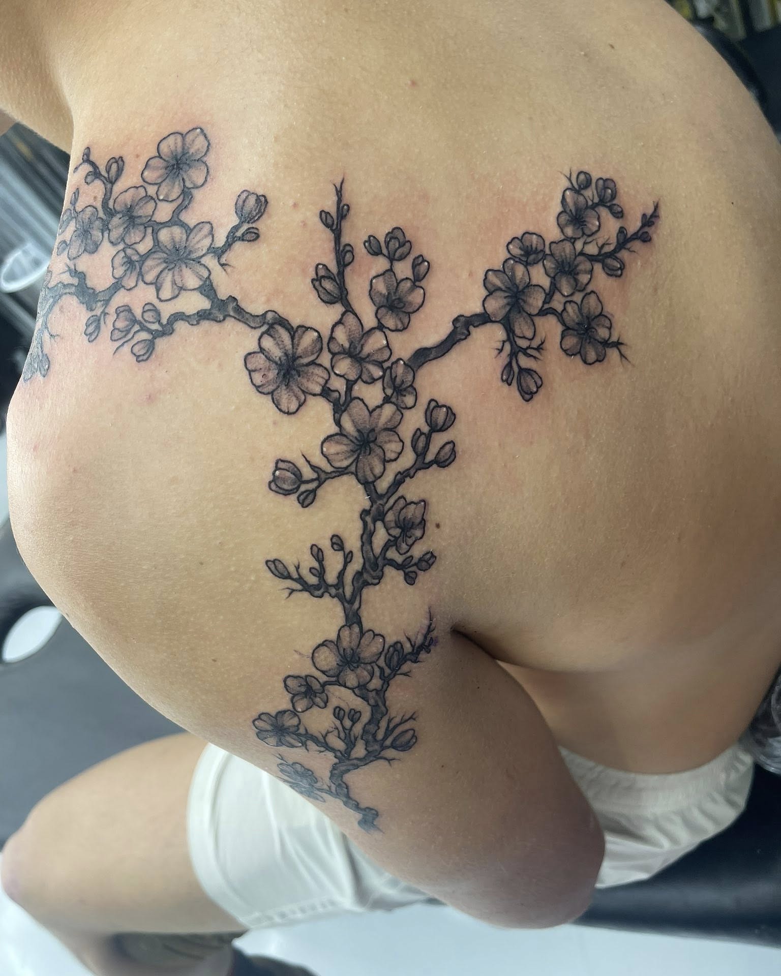 Cherry blossom branch black and grey tattoo on the shoulder by Autumn Fulford