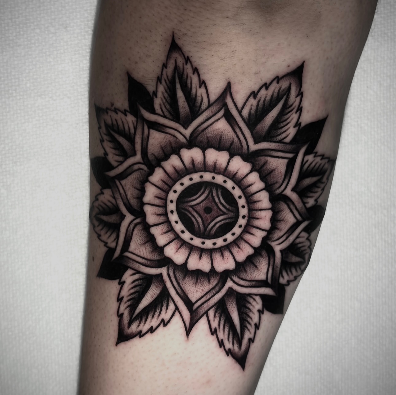 Flower black and grey tattoo on the forearm by Matt Elliott, Murfreesboro, Tennessee
