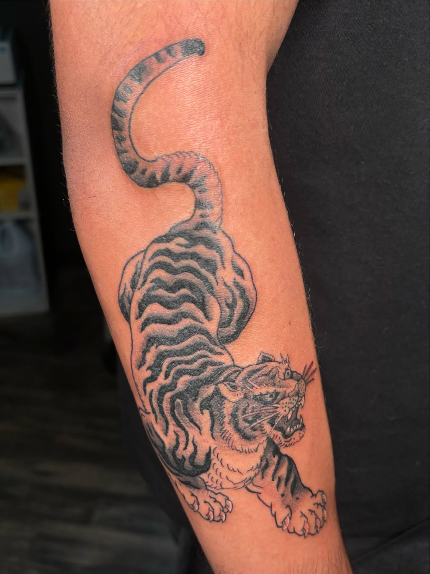 Tiger black and grey tattoo on the forearm by @seibastattoos, Virginia Beach, Virginia