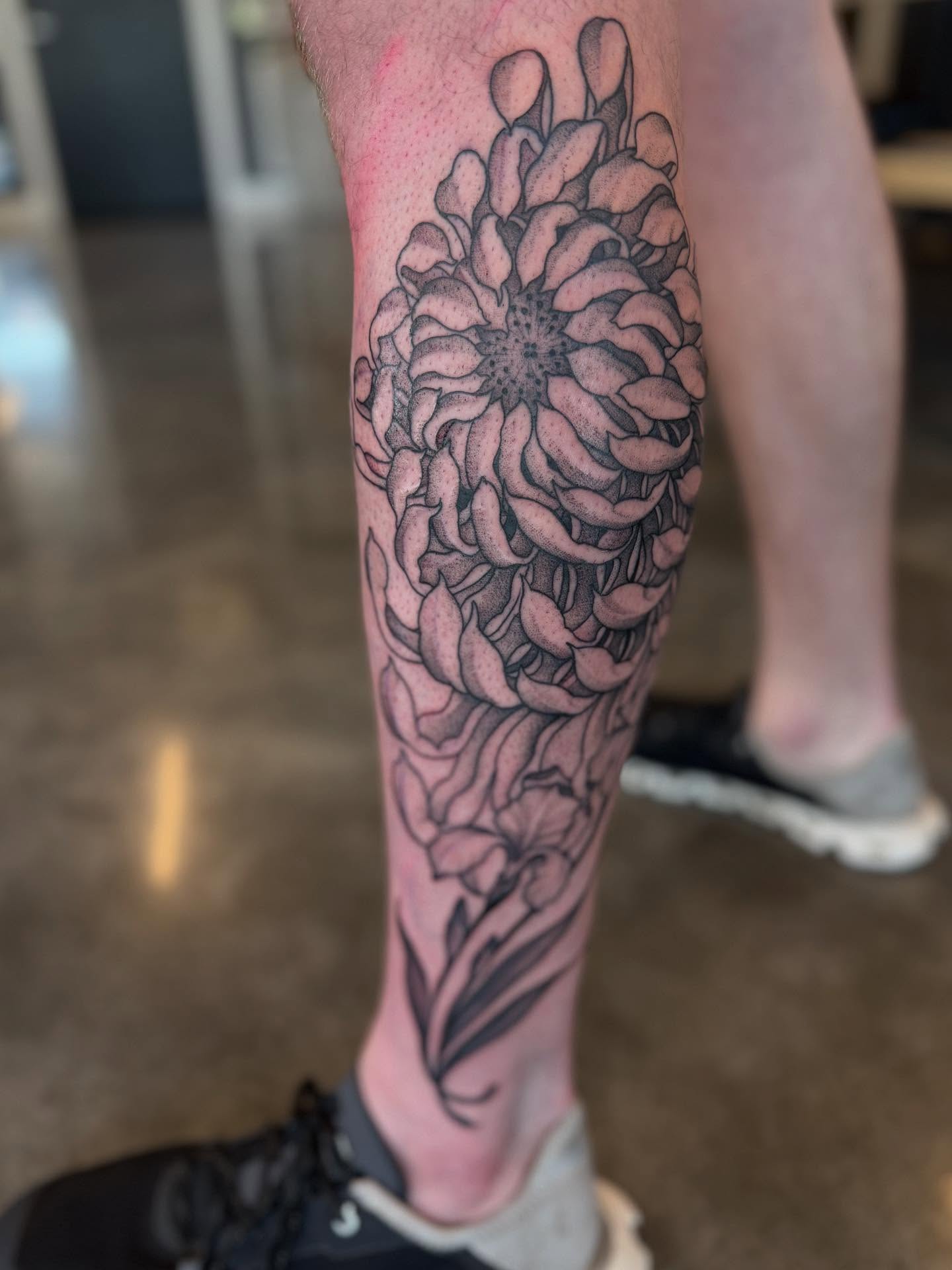 Chrysanthemum black and grey tattoo on the calf by Will Campbell