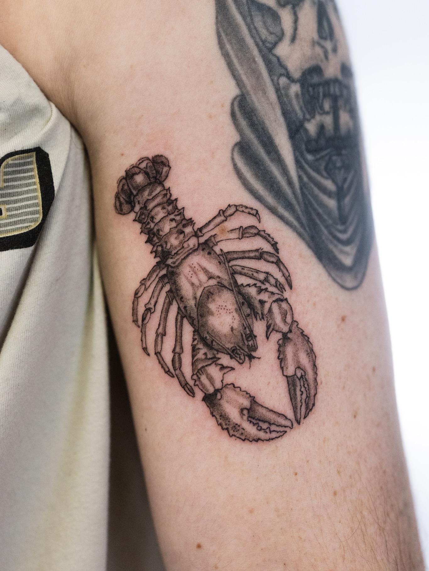 Lobster black and grey tattoo on the forearm by Ben Cisek