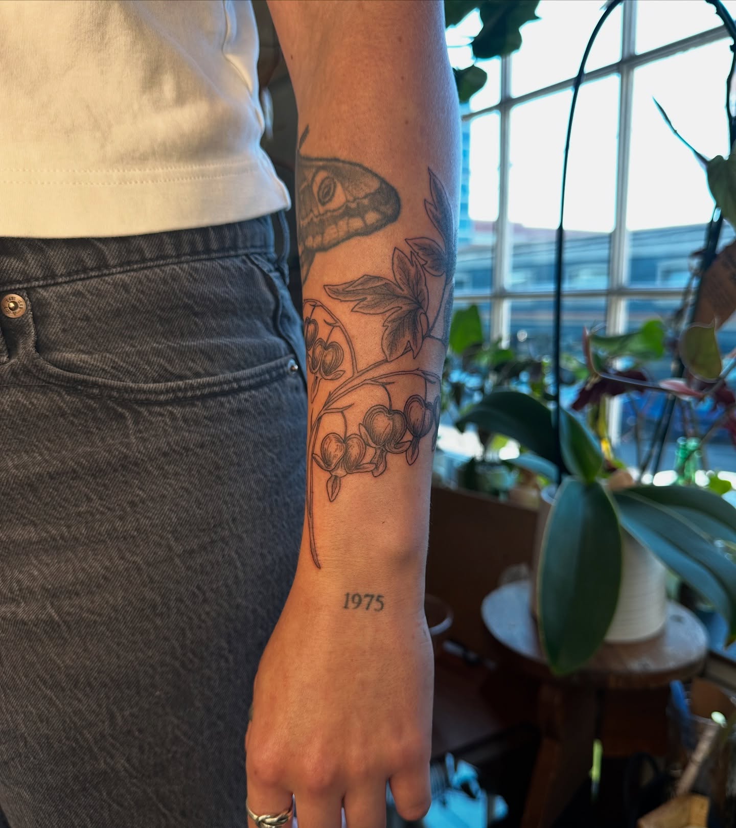 Snake and leaves black and grey tattoo on the forearm by Emma Thompson