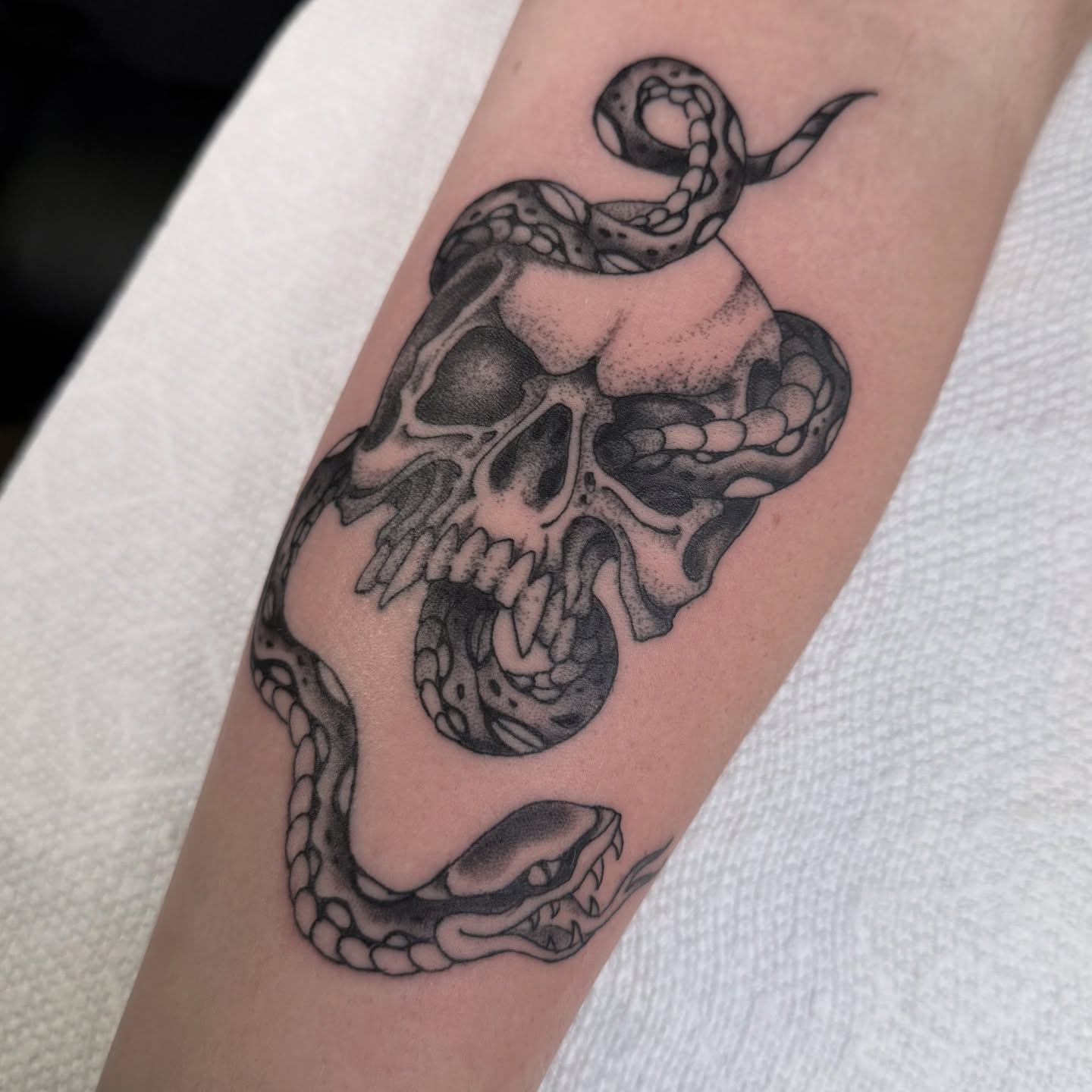 Snake and skull dotwork tattoo on the forearm by Scott Kulikowski
