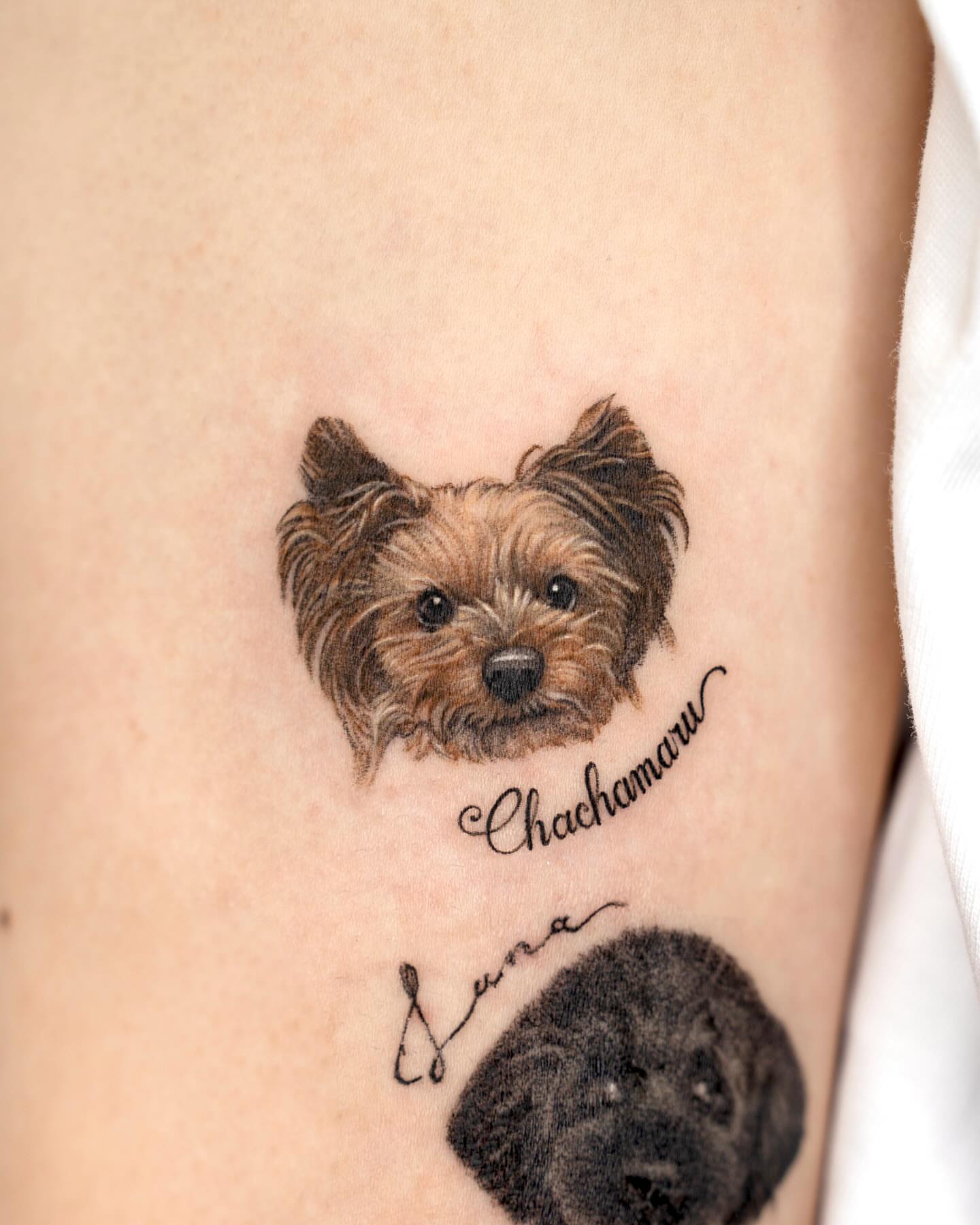 Dog portrait realism tattoo on the forearm by Zeeyo 지요