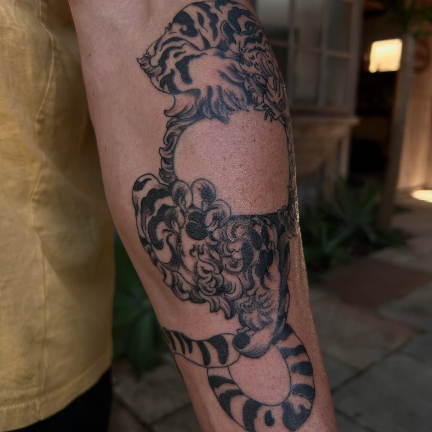 Lion black and grey tattoo on the forearm by Amara Lyons, Matakana, New Zealand