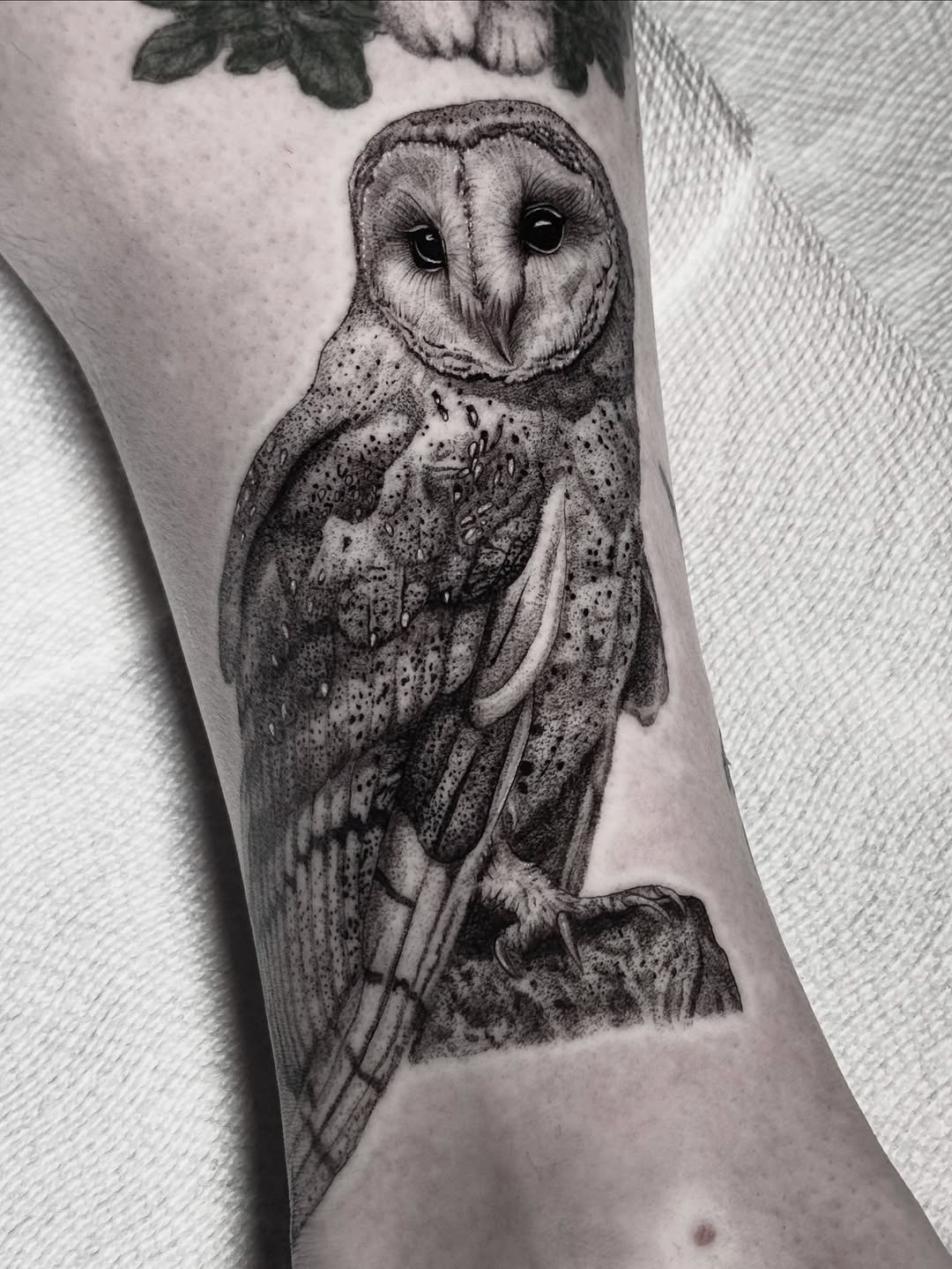 Barn owl fine line tattoo on the forearm by Brisia Cisneros