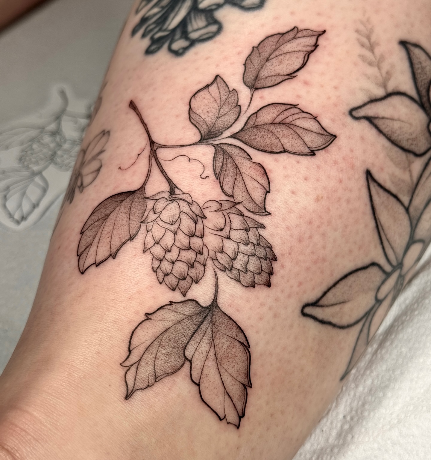 Hop cones black and grey tattoo on the forearm by Molly Murray