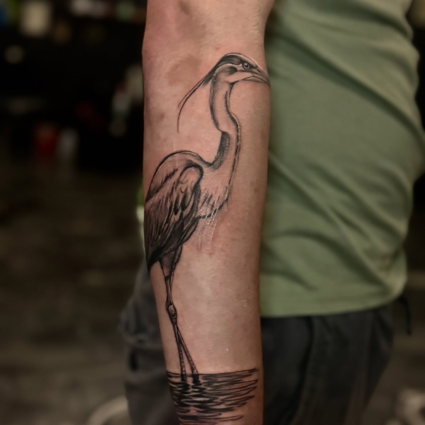 Heron black and grey tattoo on the forearm by Paola Pineda Tattoo, Knoxville, Tennessee