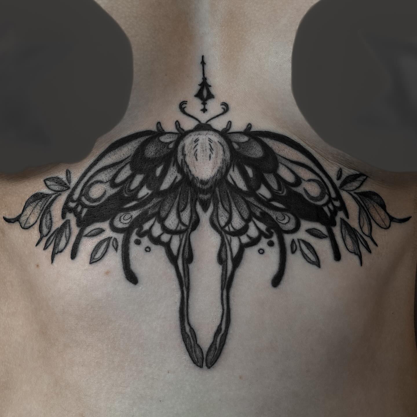 Moth dotwork tattoo on the chest by ✥ G i t t a ✥