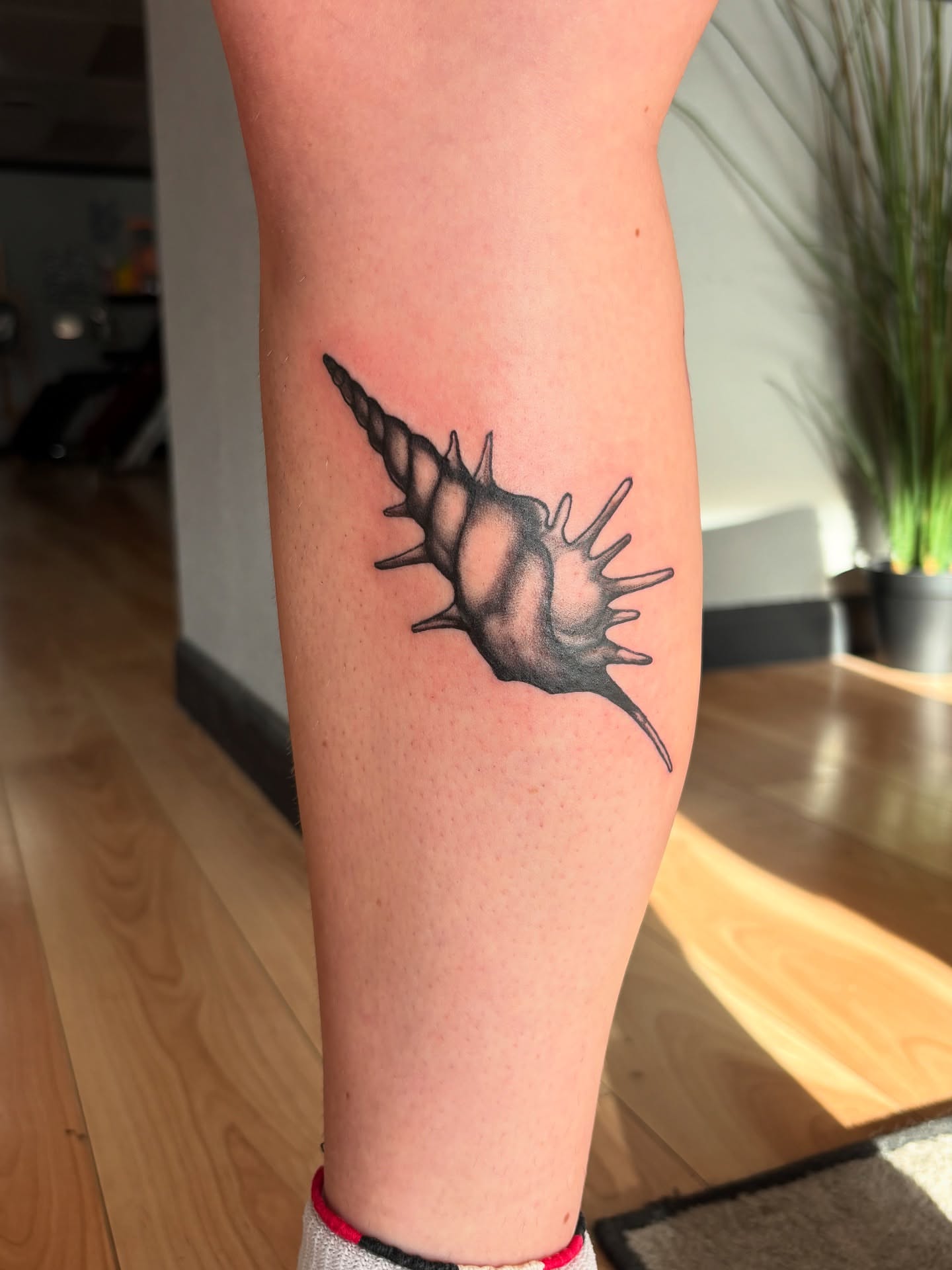 Conch shell black and grey tattoo on the leg by Tori Anderson, Minneapolis, Minnesota